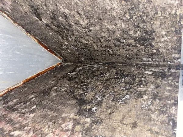 Got Dirty Indoor Coils ? image